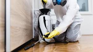 Emergency Pest Control in Rancho Mirage, CA